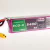 TF ECO-X 5400-5S Competition MTAG | # 95400531